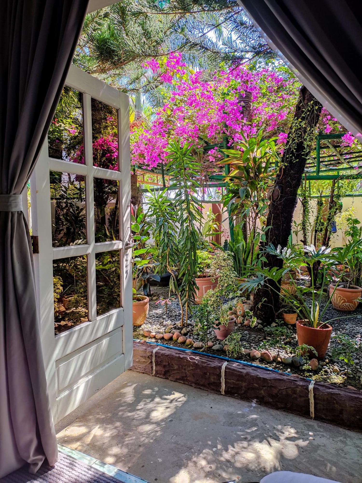 Olana Bed And Breakfast Labrador Bagian luar foto