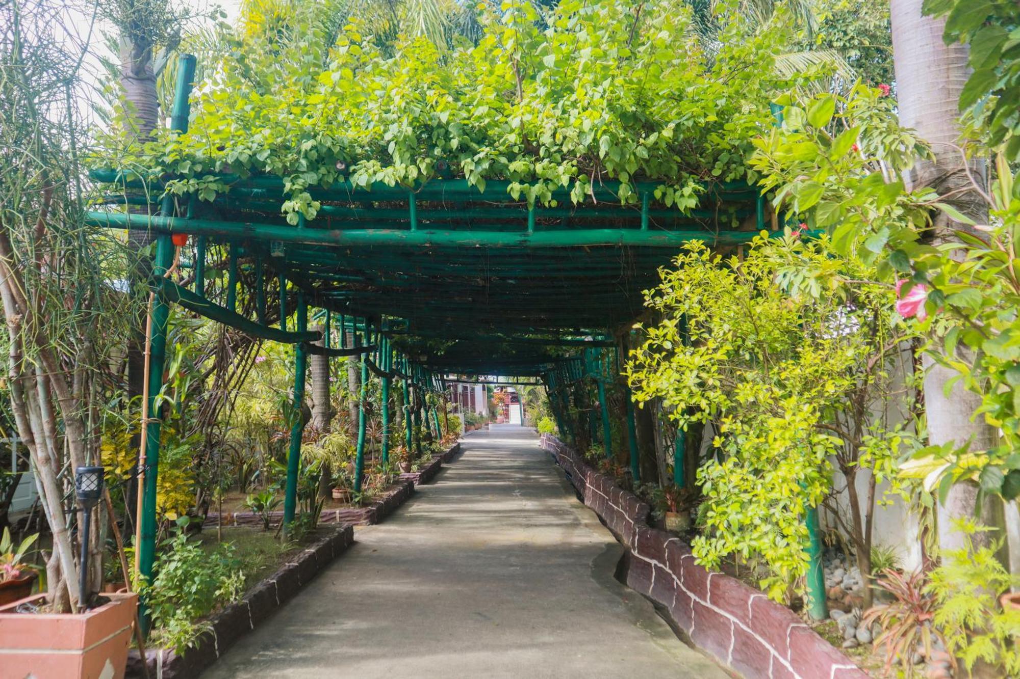 Olana Bed And Breakfast Labrador Bagian luar foto